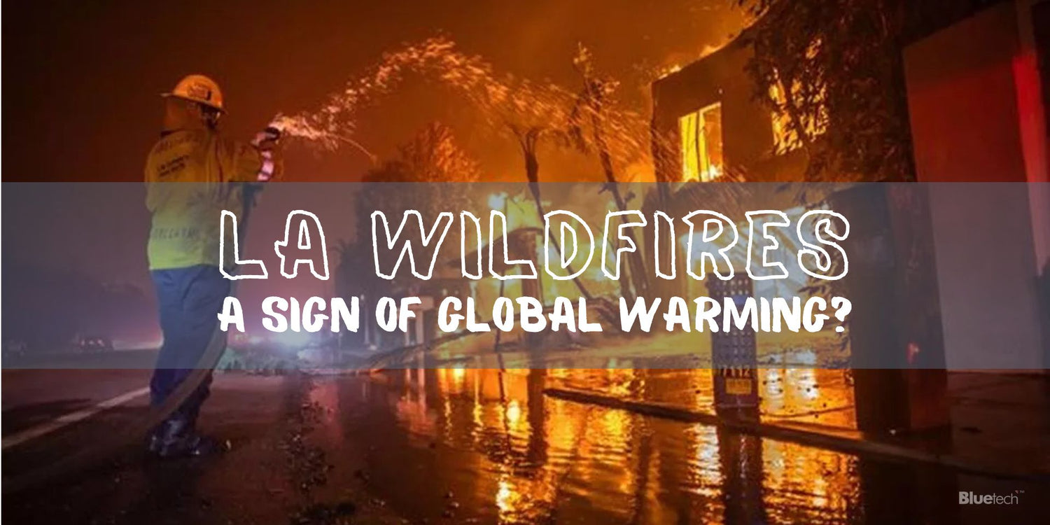 LA Wildfires: Urgent Lessons on Global Warming and Climate Action